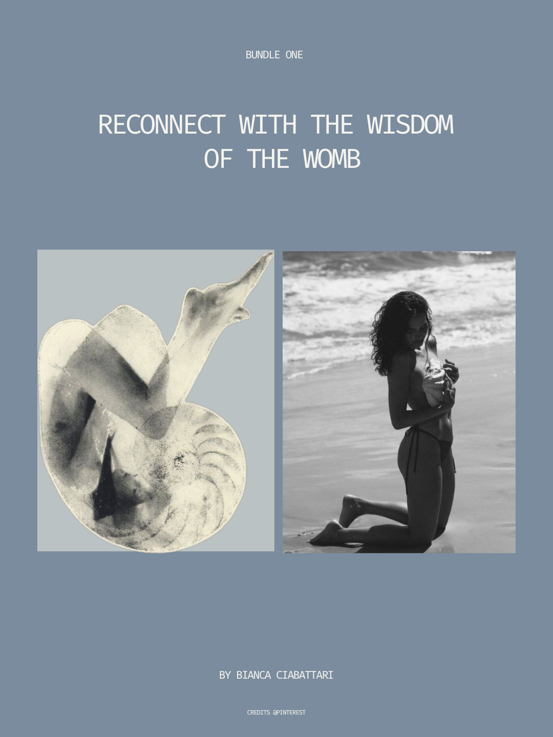 Reconnect with the Wisdom of the Womb — Bundle One cover